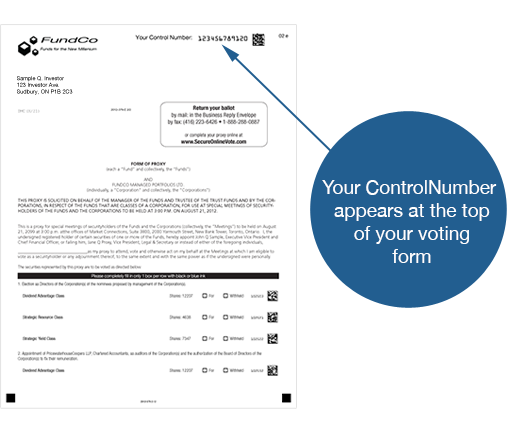 What Is a Proxy Vote, and How Does It Work? With Examples